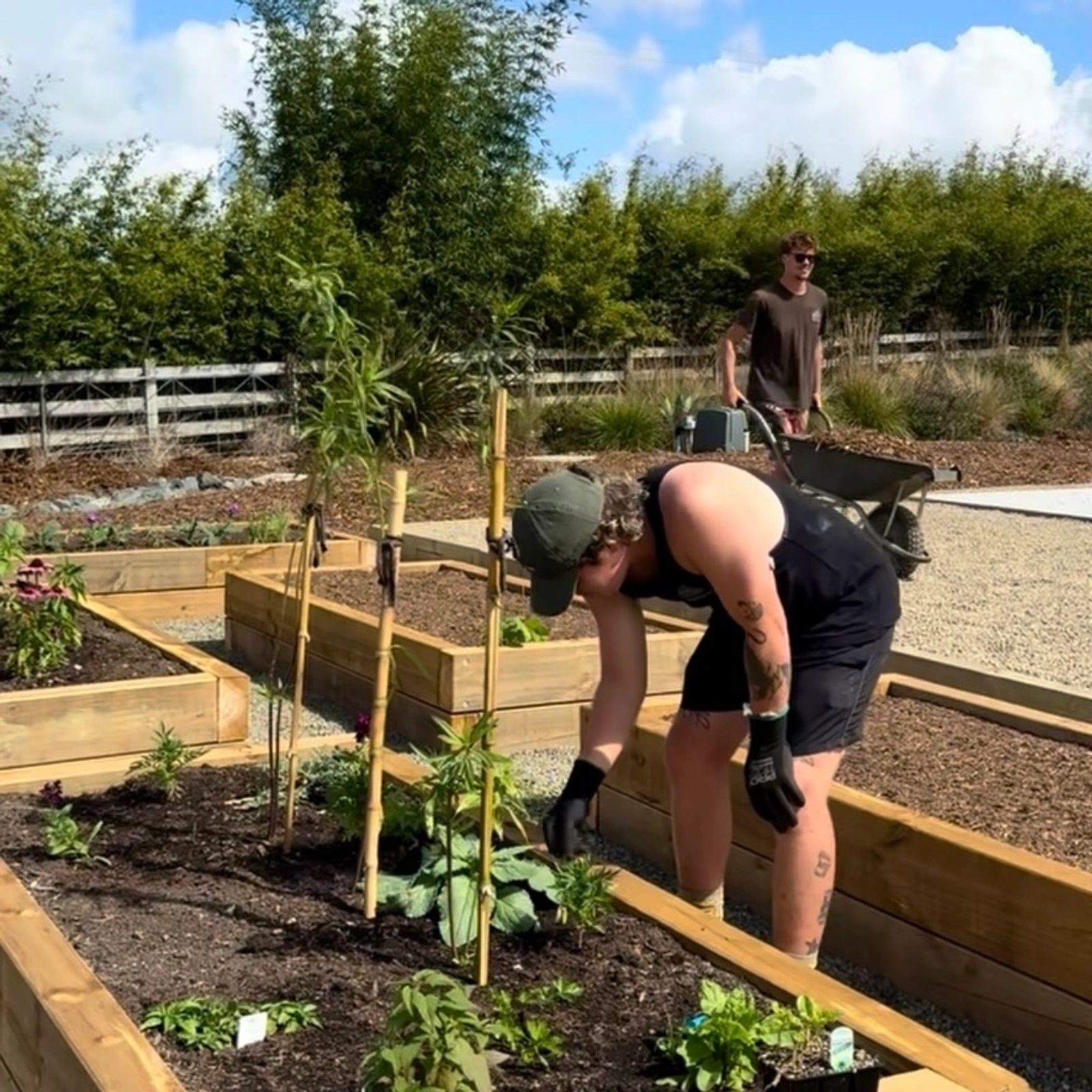 Horticulture training